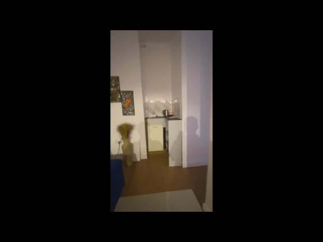 SPACIOUS MINI FLAT TO LET — photograph 8